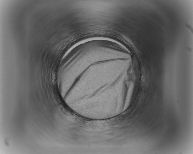 X0000099570025200806131306