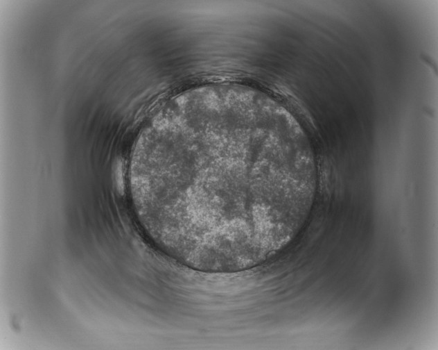 X0000099570026200806131306