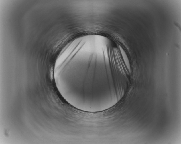 X0000099570027200806131306