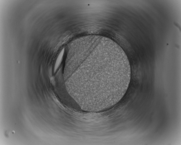 X0000099570028200806131306