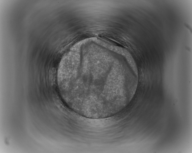 X0000099570030200806131306