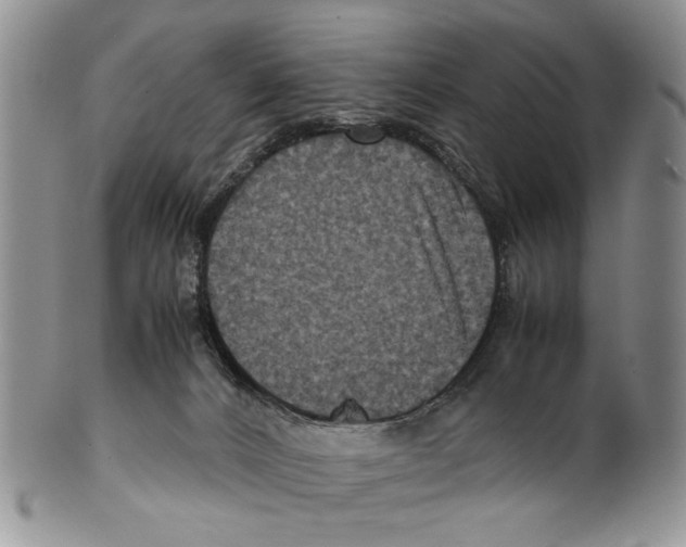 X0000099570032200806131306