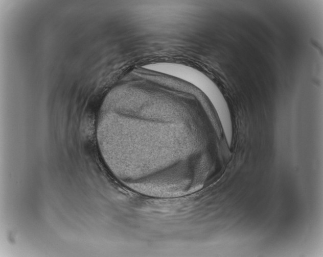 X0000099570033200806131306