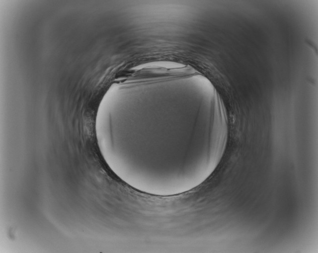 X0000099570035200806131306