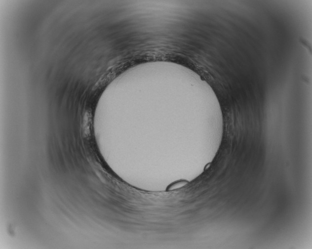 X0000099570038200806131306