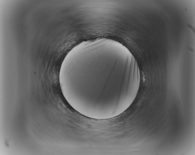 X0000099570039200806131306