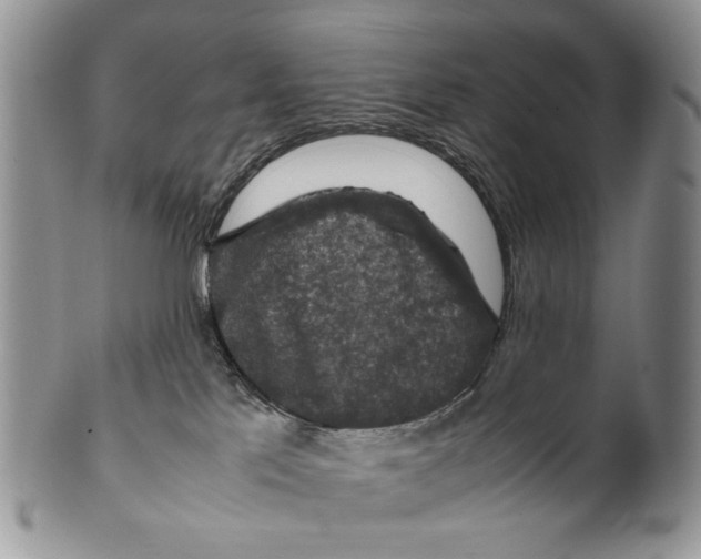 X0000099570041200806131306