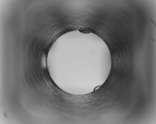X0000099570042200806131306