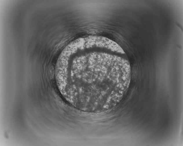 X0000099570043200806131306