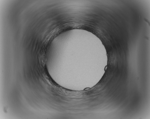 X0000099570044200806131306
