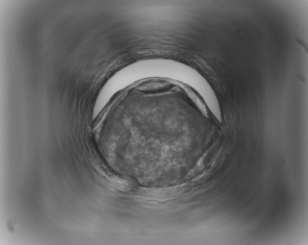 X0000099570045200806131306