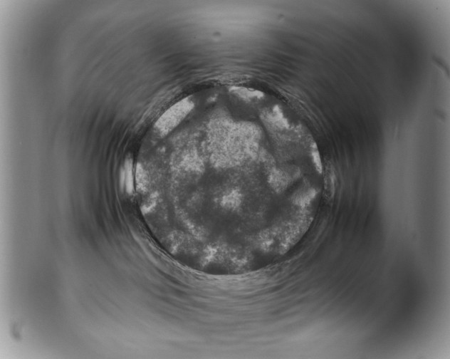 X0000099570046200806131306
