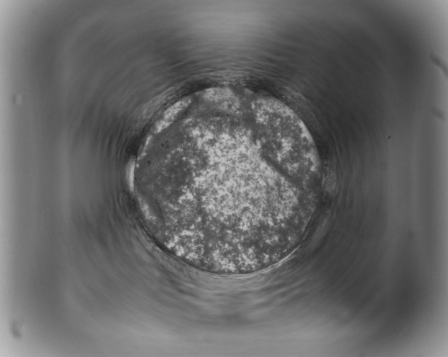 X0000099570047200806131306