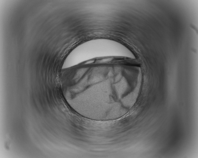 X0000099570048200806131306