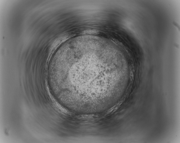 X0000099570049200806131305