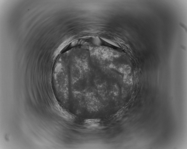 X0000099570051200806131305