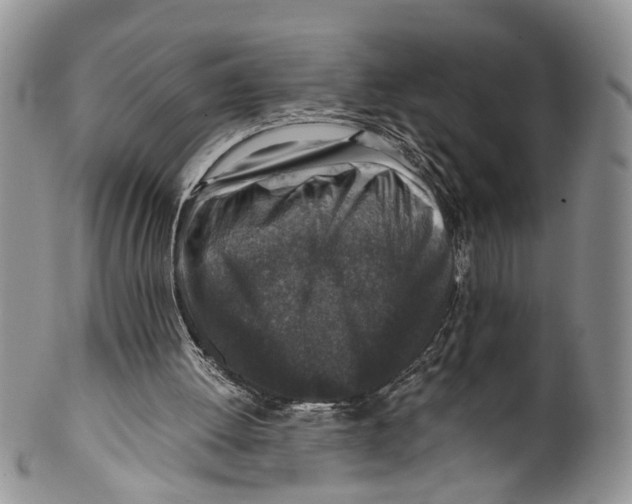X0000099570052200806131305