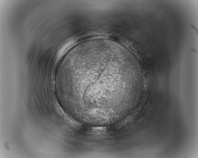 X0000099570053200806131305