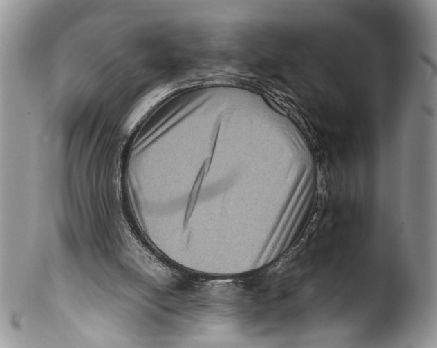 X0000099570054200806131305