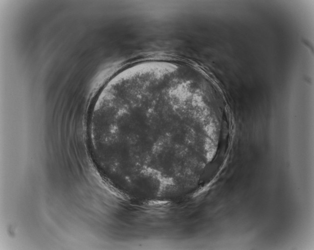 X0000099570055200806131305