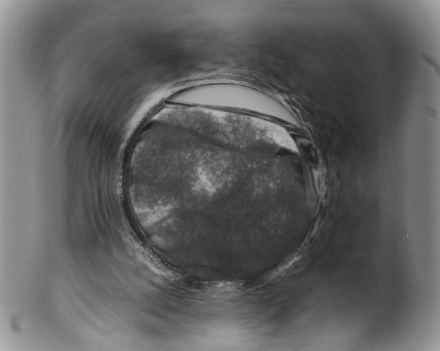 X0000099570056200806131305