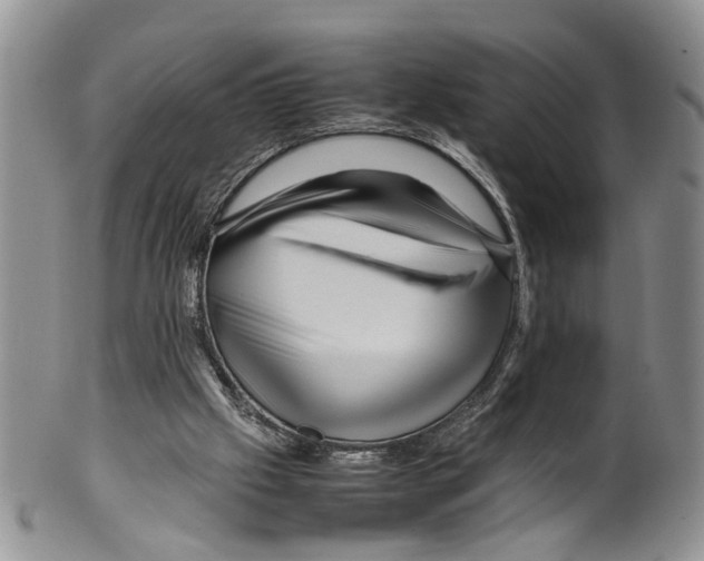 X0000099570057200806131305