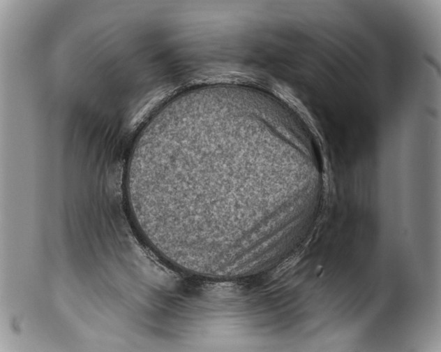 X0000099570058200806131305
