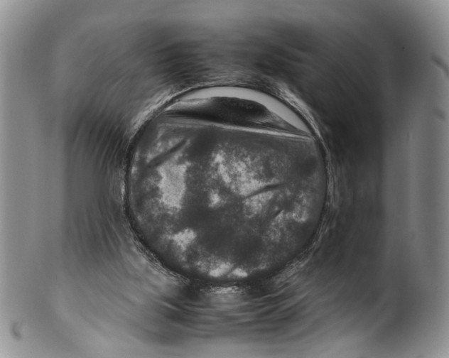 X0000099570059200806131305