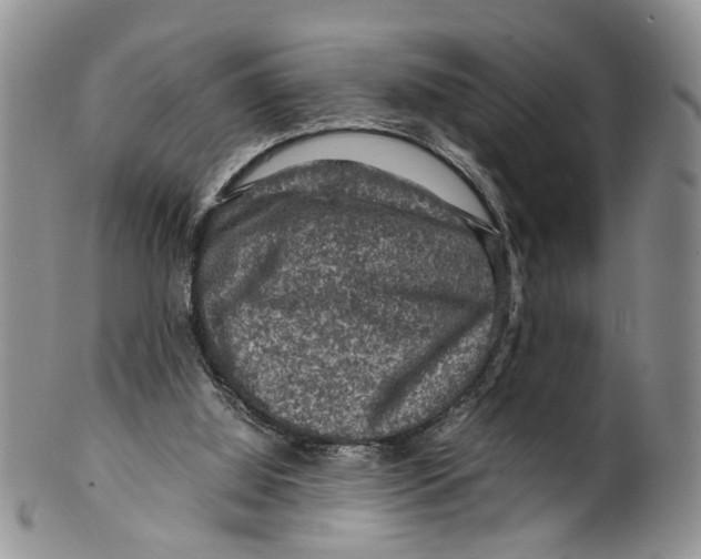 X0000099570060200806131305