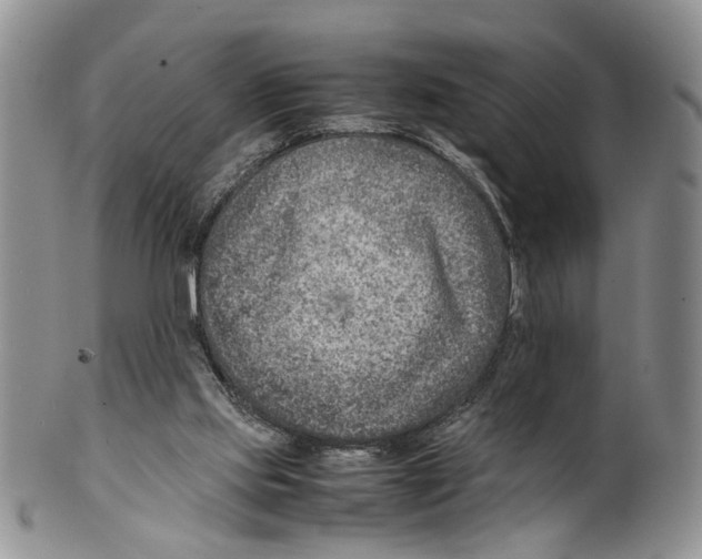 X0000099570061200806131305