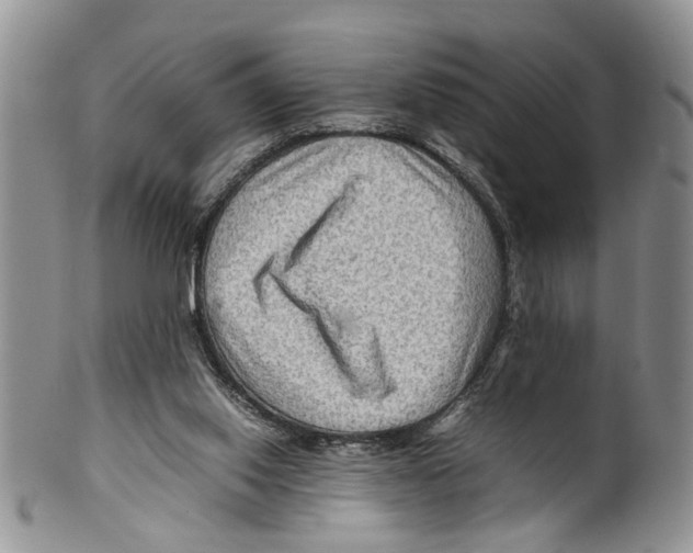 X0000099570062200806131305