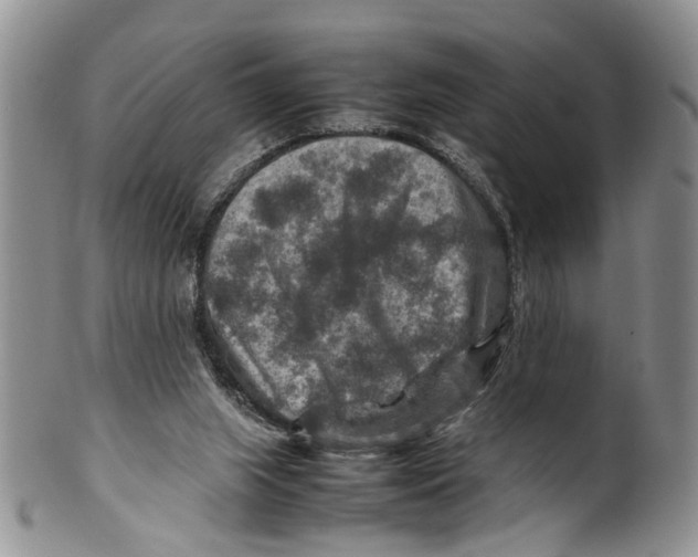 X0000099570063200806131305
