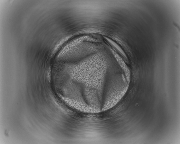 X0000099570064200806131305