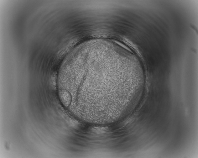 X0000099570065200806131305