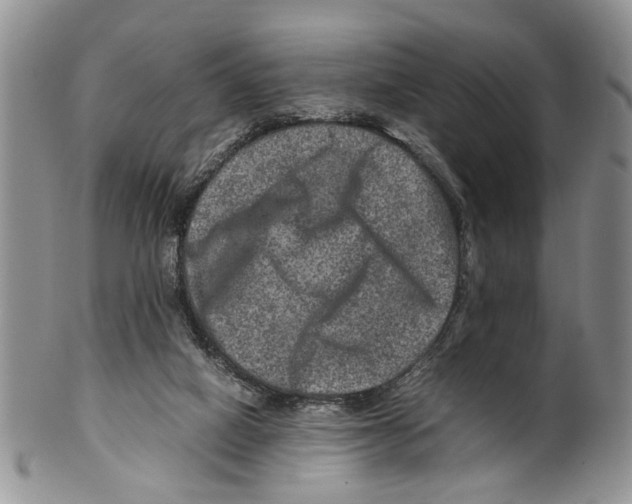 X0000099570066200806131305
