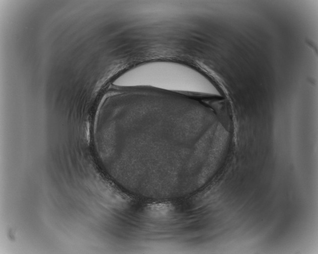 X0000099570067200806131305