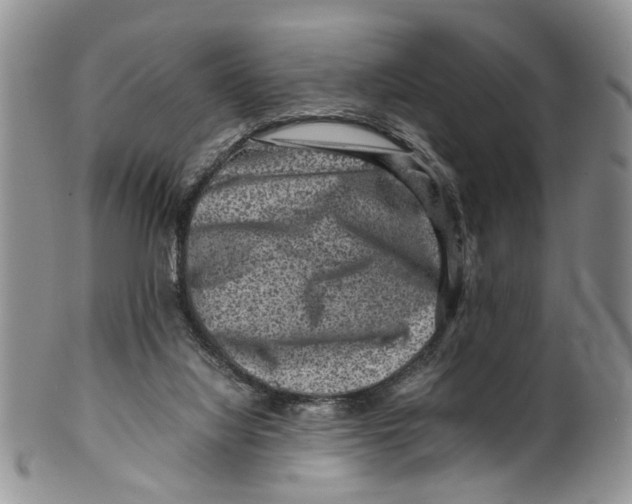 X0000099570068200806131305