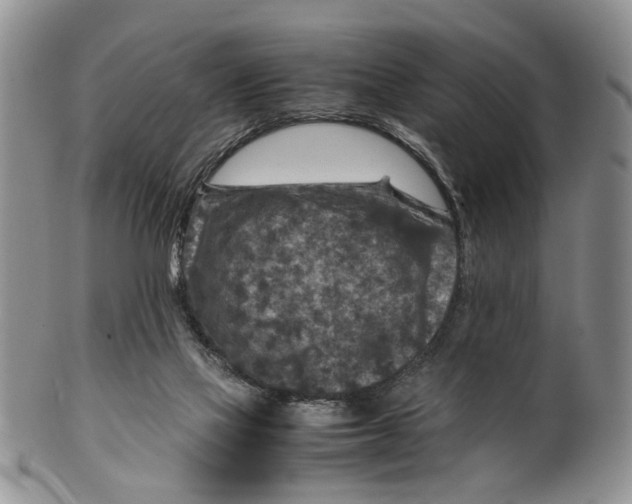 X0000099570069200806131305