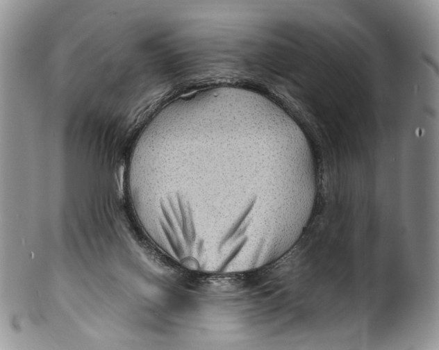 X0000099570070200806131305