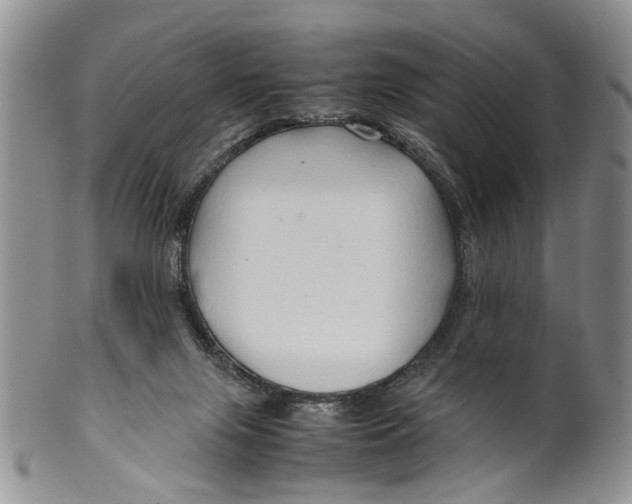 X0000099570071200806131305