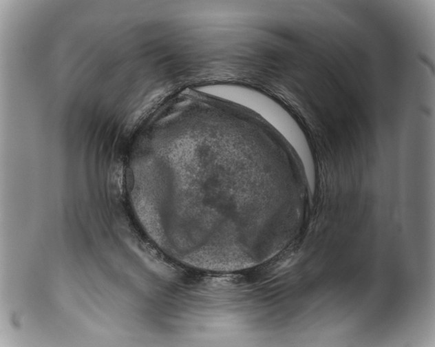 X0000099570072200806131305