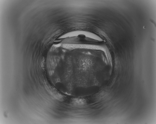 X0000099570073200806131305