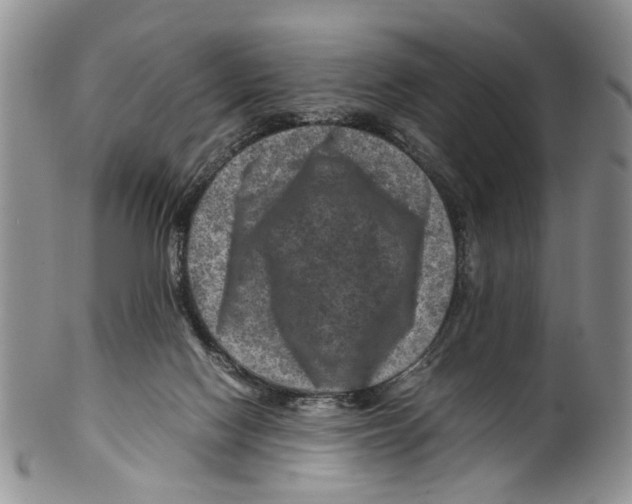 X0000099570074200806131305