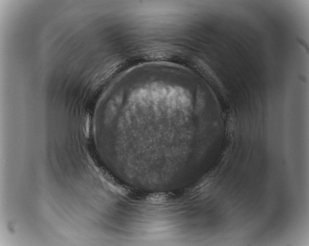 X0000099570076200806131305