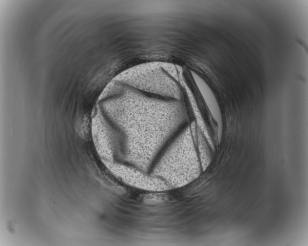 X0000099570077200806131305