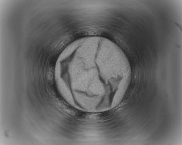 X0000099570078200806131305