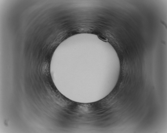 X0000099570079200806131305
