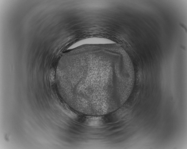 X0000099570081200806131305