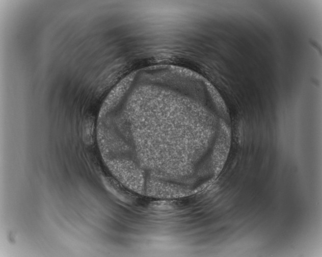X0000099570082200806131305