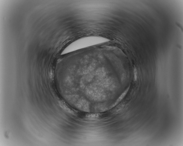 X0000099570084200806131305
